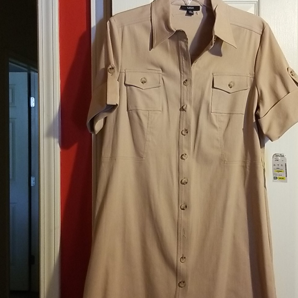 $20.00